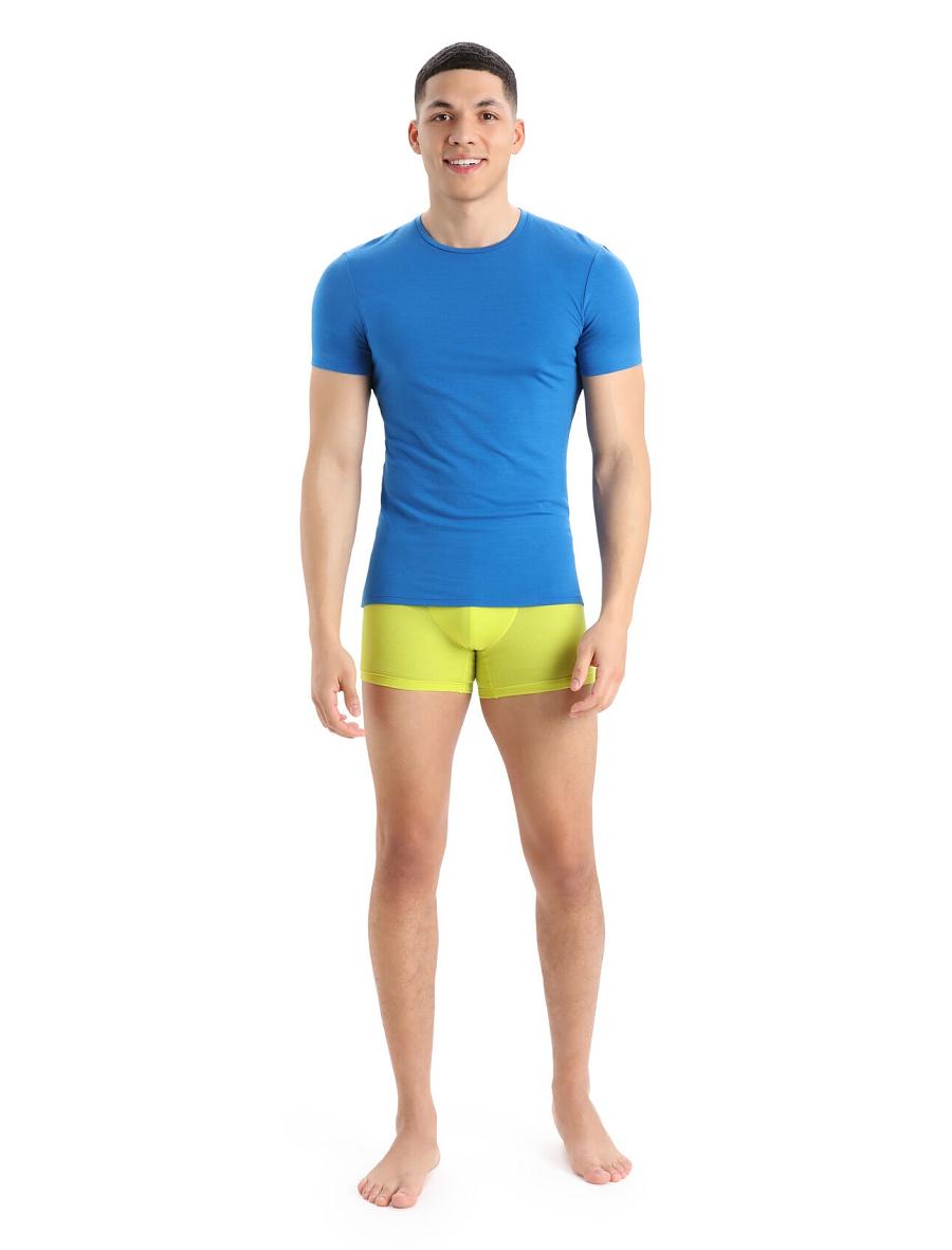 Shine Icebreaker Cool-Lite™ Merino Anatomica Boxers Men's Underwear | AU 1318BEXC